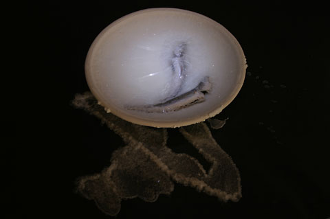 Saltwatch week 3 photograph 2