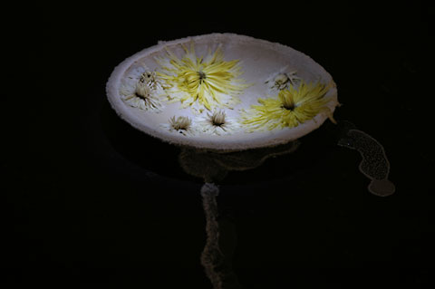 Saltwatch week 3 photograph 6
