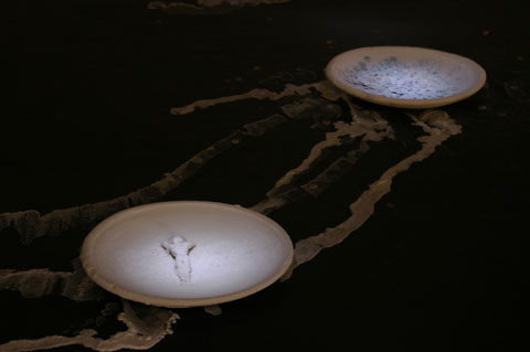 Saltwatch week 4 photograph 1