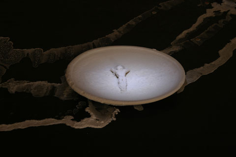 Saltwatch week 4 photograph 2