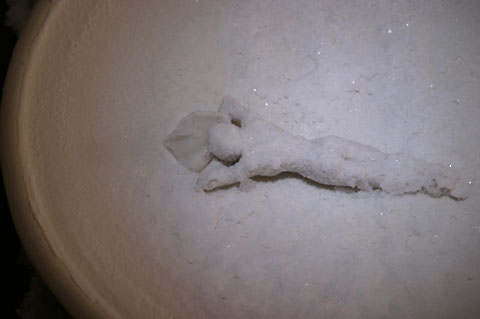 Saltwatch week 4 photograph 4