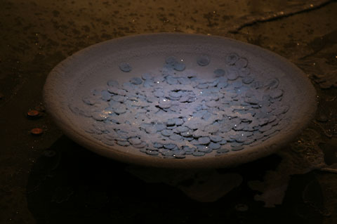 Saltwatch week 4 photograph 6